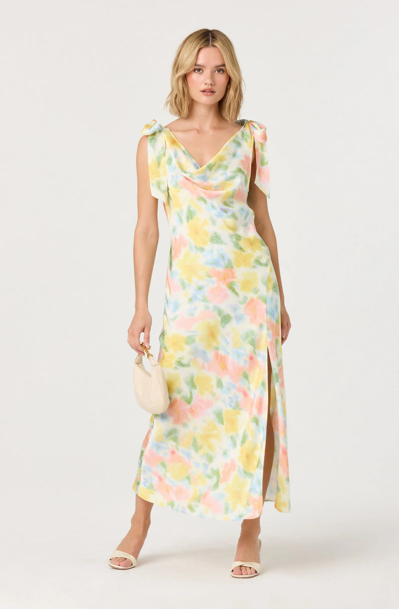 Allexina Midi Dress